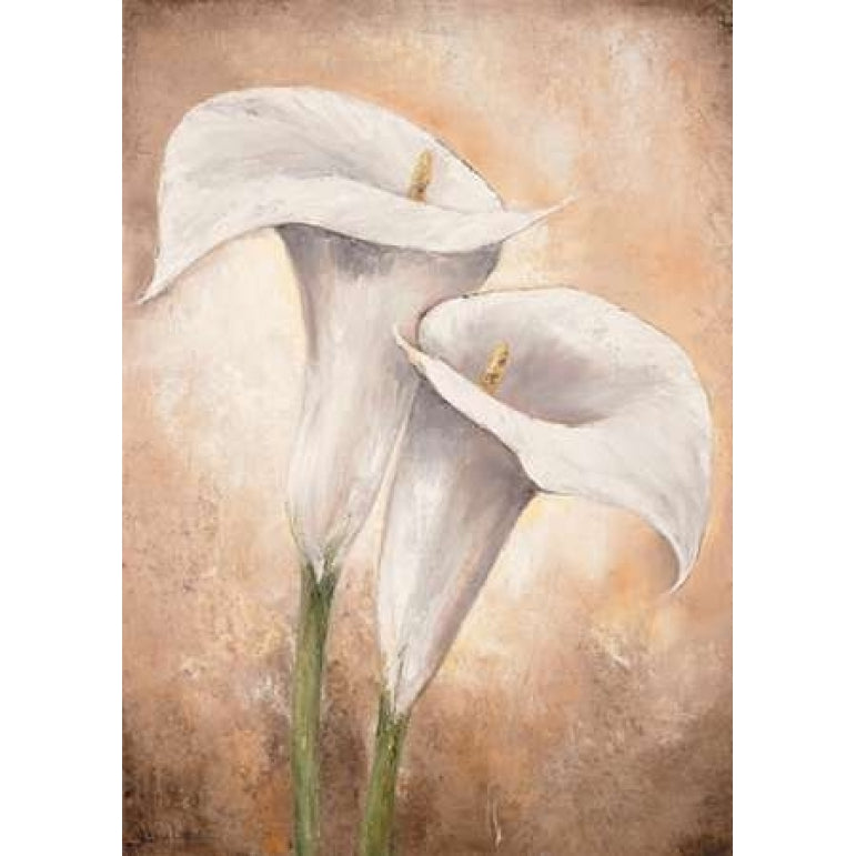 Calla Lilly II Poster Print by Lenna Lotus Image 1