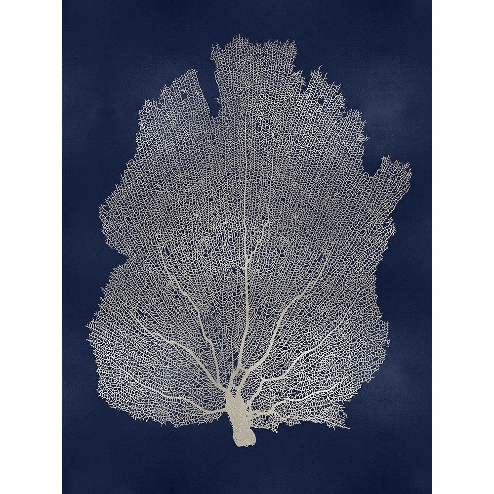 Sea Fan Silver on Blue I Poster Print by Melonie Miller MMR116781 Image 1