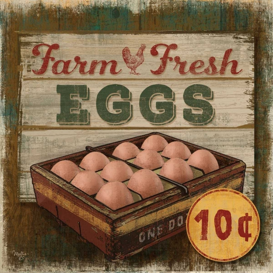 Farm Fresh Eggs Poster Print by Mollie B. Mollie B. Image 1