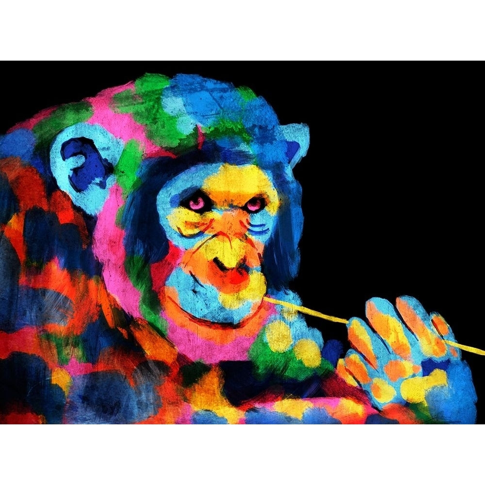 Monkey Color Burst 1 Poster Print by Marcus Prime MPRC645A Image 1