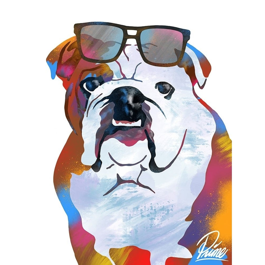 Flashy Bulldog 1 Poster Print by Marcus Prime Image 1