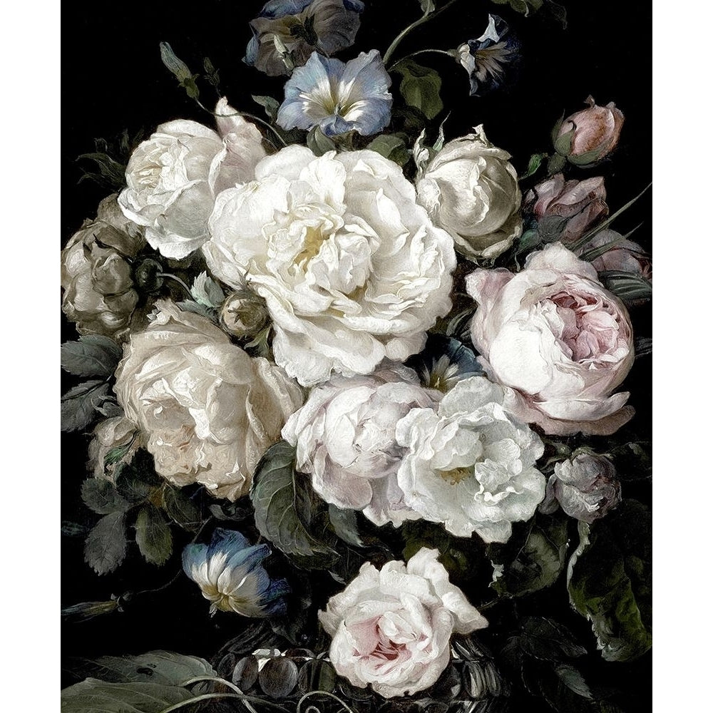 Glorious Bouquet III Poster Print by Angela McQueen MQ115029 Image 1