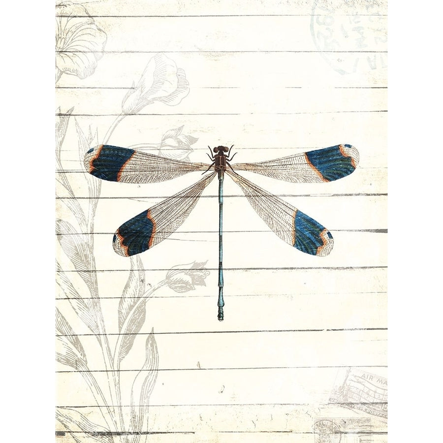 Dragonfly Look Poster Print by Milli Villa MVRC628A Image 1