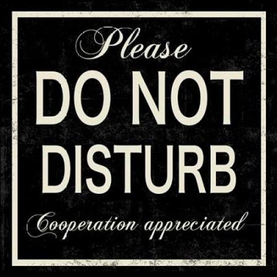 Do Not Disturb Poster Print by PI Studio - Item PDXPA366ALARGE Image 2