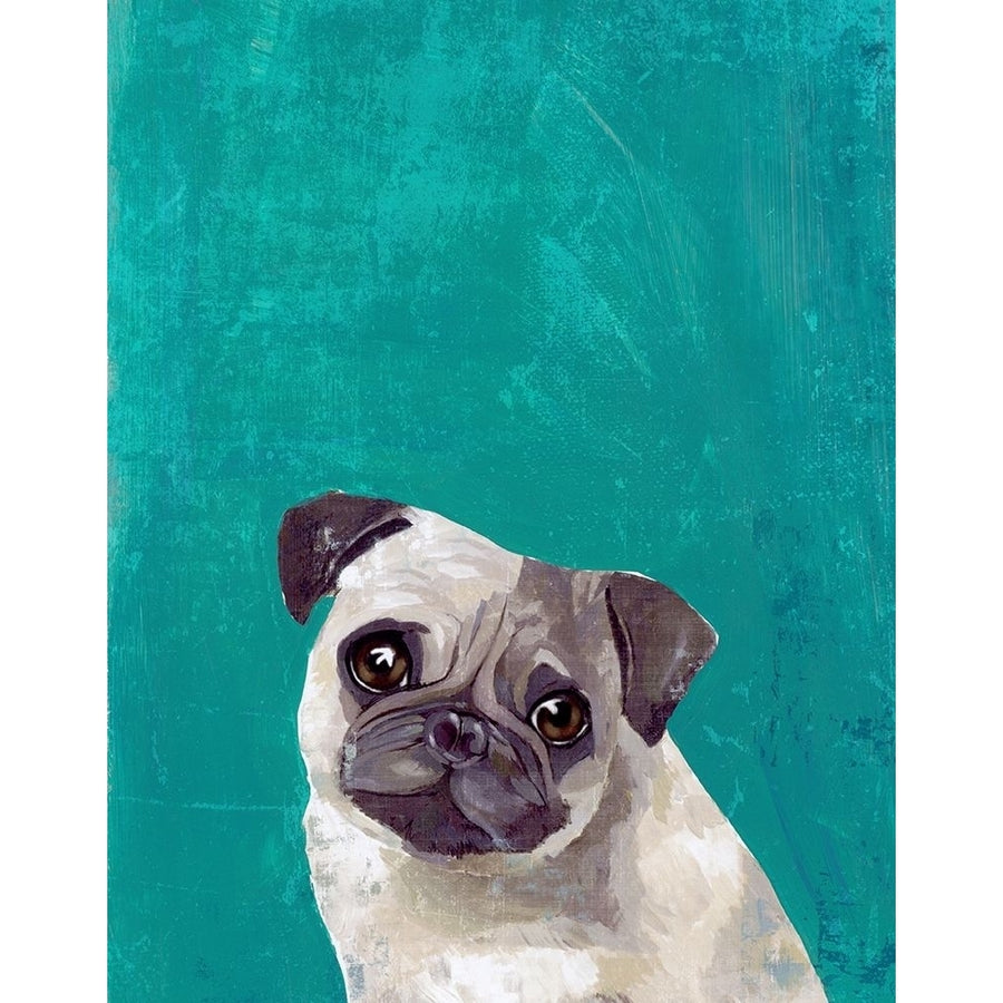 Pug Puppy Poster Print by PI Studio PI Studio Image 1