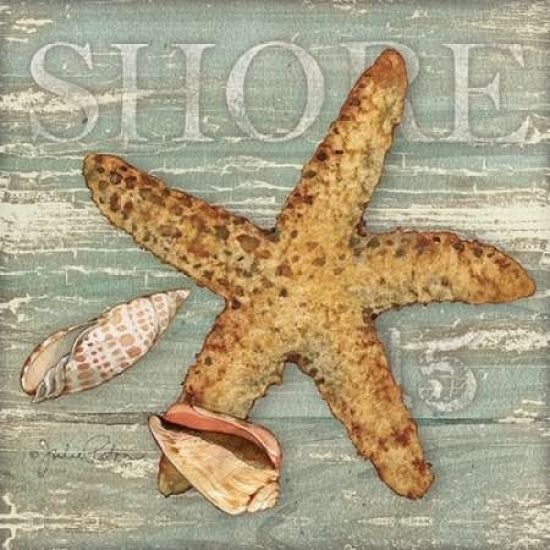 Beach Shells Starfish Poster Print by Julie Paton Image 2