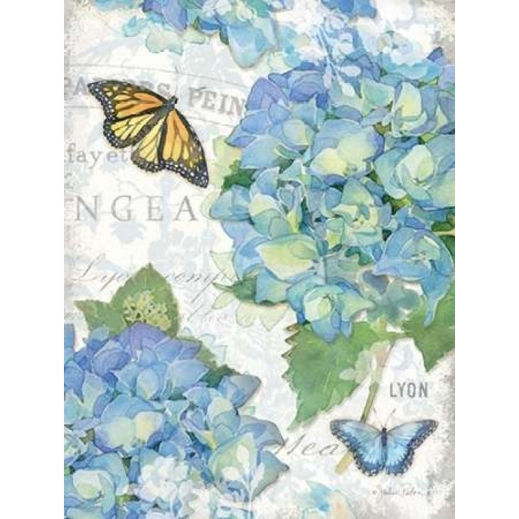 Garden Hydrangea II Poster Print by Julie Paton Image 2