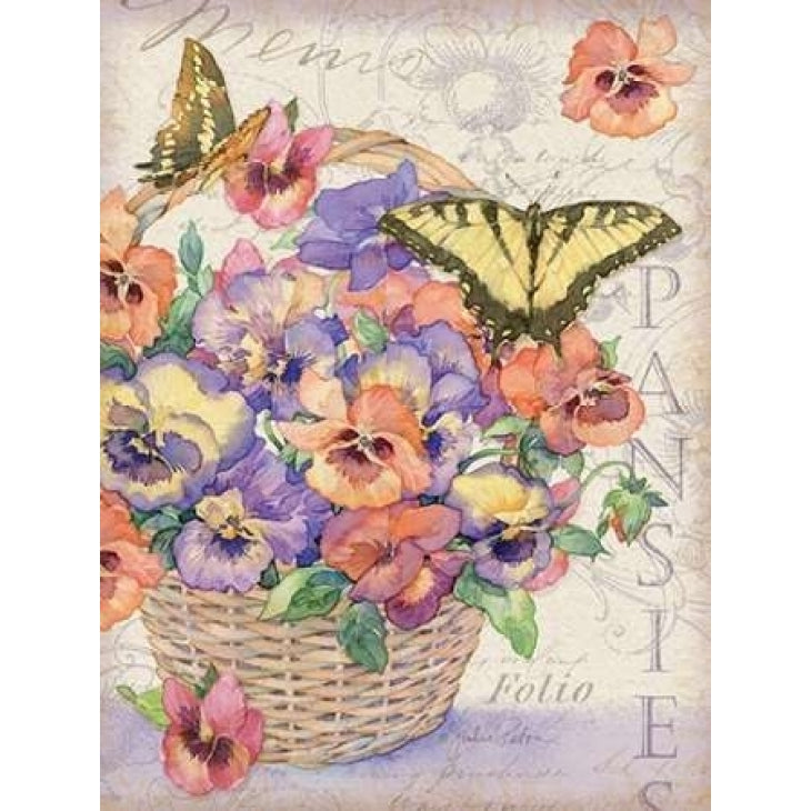 Pansies Folio Poster Print by Julie Paton Image 2