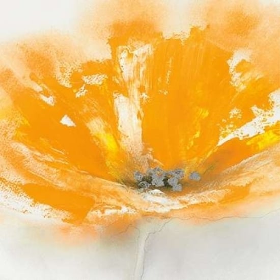 Wild Orange Sherbet II Poster Print by J.P. Prior Image 1