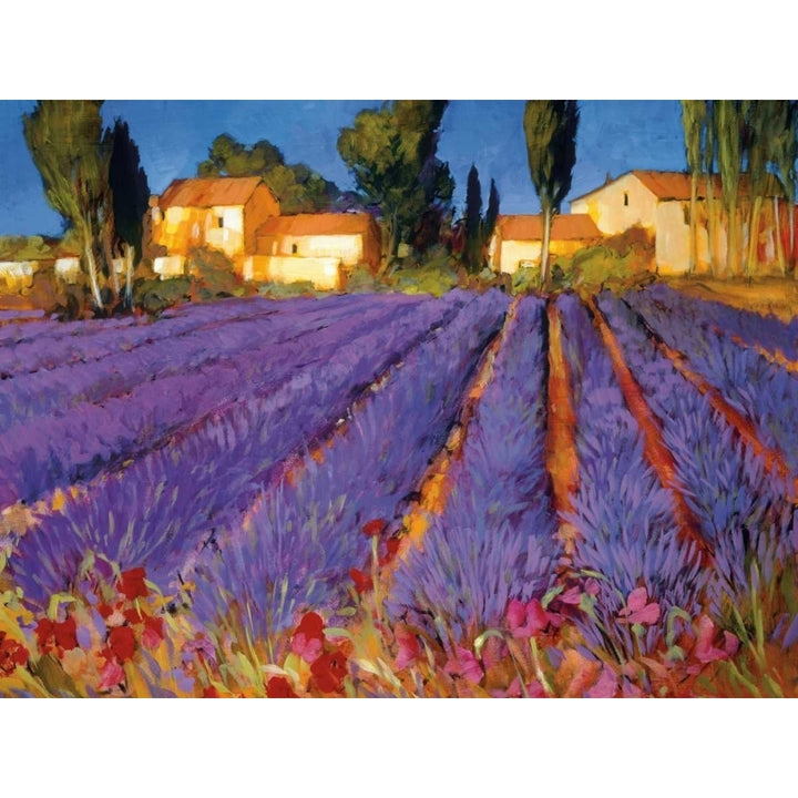 Late Afternoon Lavender Fields Poster Print by Philip Craig Image 2