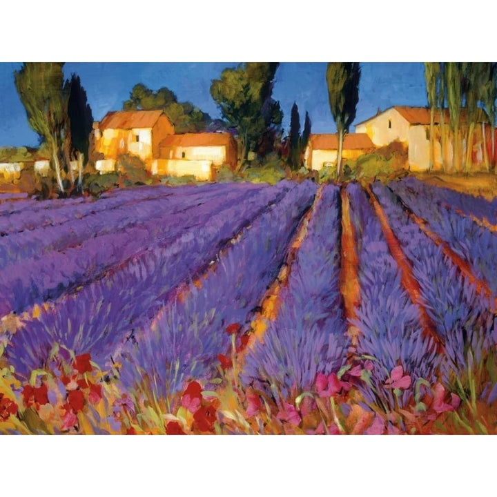 Late Afternoon Lavender Fields Poster Print by Philip Craig Image 1