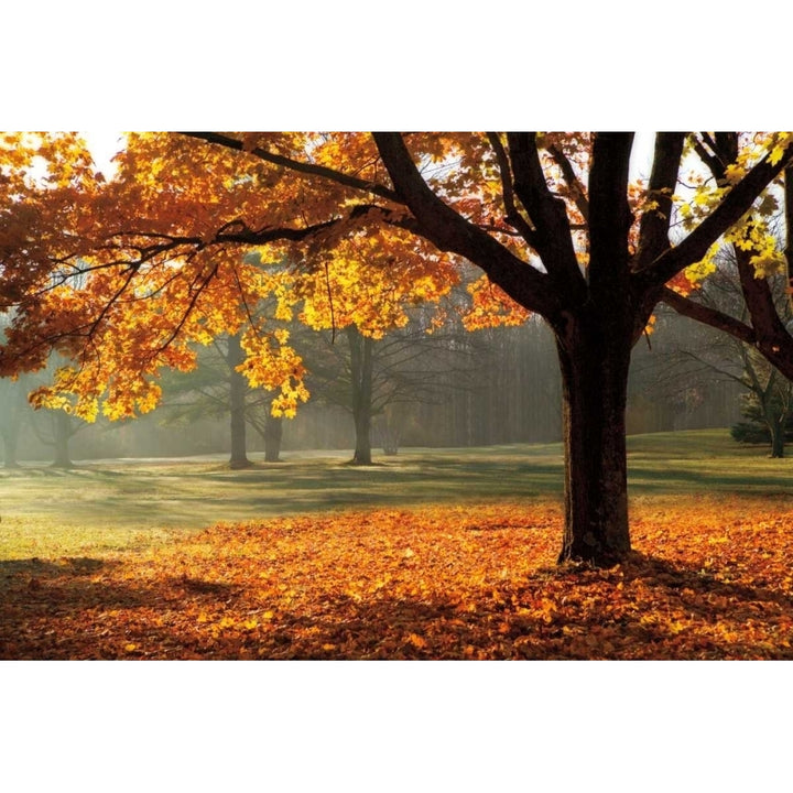 Autumn Poster Print by Mike Jones Image 2