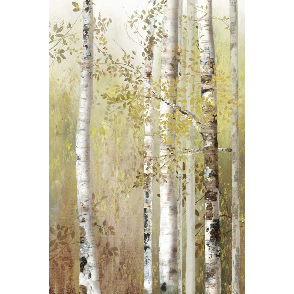 Serenity Birch Poster Print by Allison Pearce Image 1