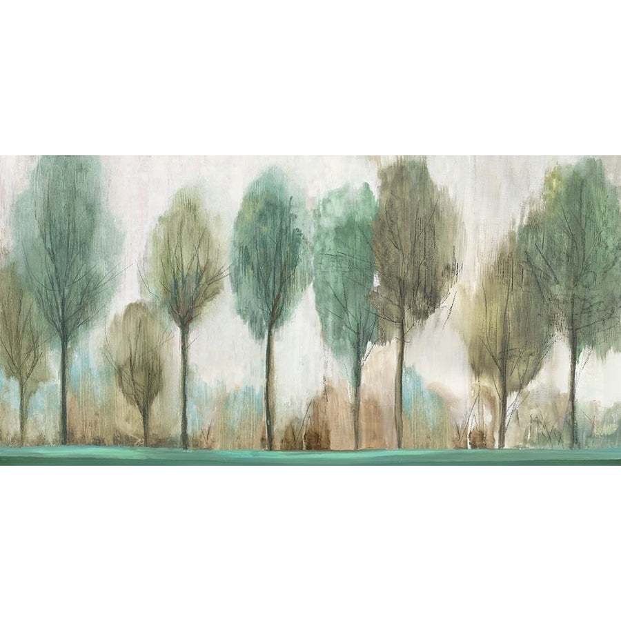 Tall Trees Poster Print by Allison Pearce Image 1