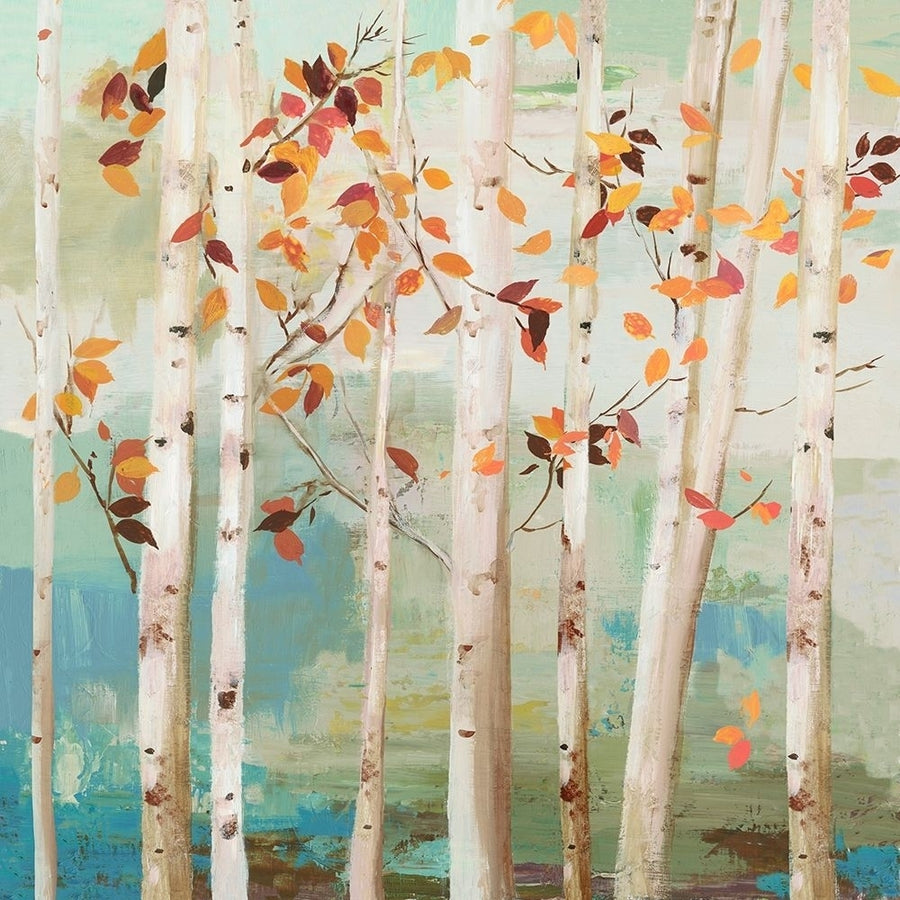 Fall Birch Trees Poster Print by Allison Pearce Image 1