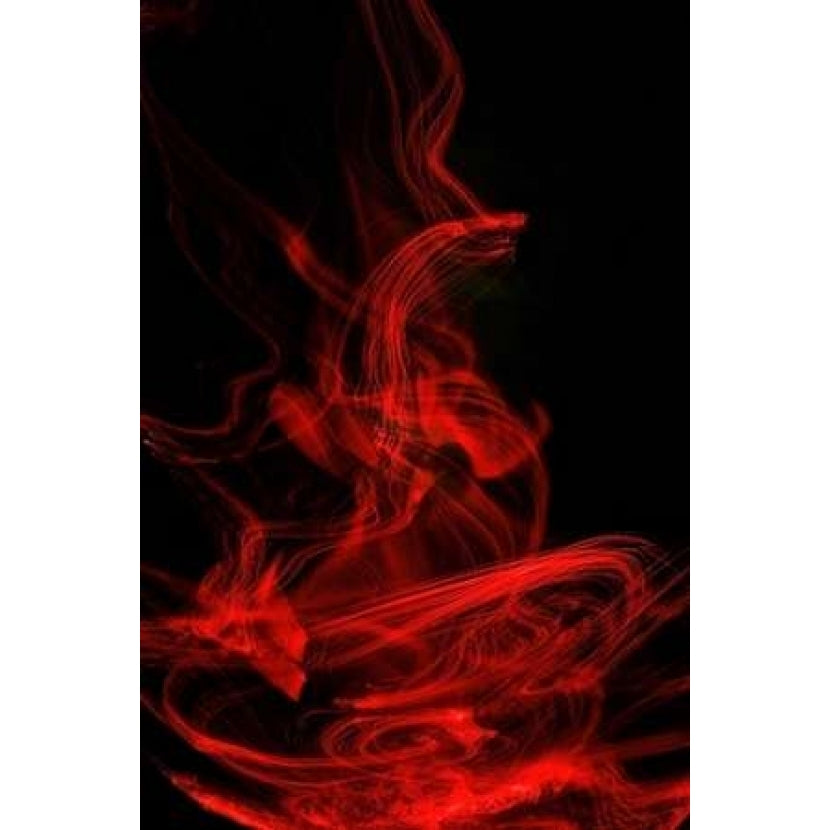 Flamenco II Poster Print by Monika Burkhart Image 1