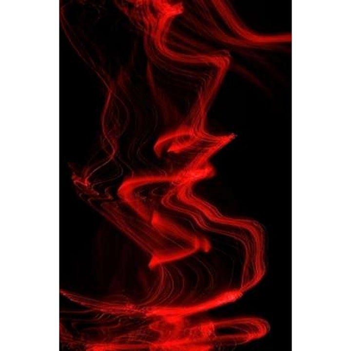 Flamenco I Poster Print by Monika Burkhart Image 1