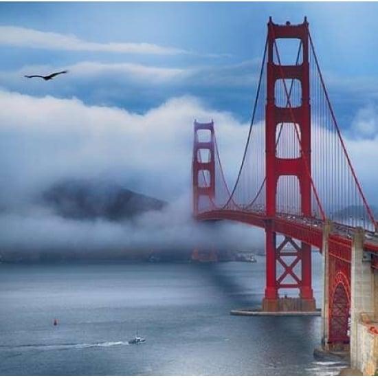 Golden Gate Bridge VIII Poster Print by Rita Crane Image 1