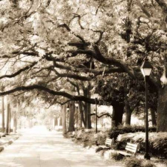 Savannah Sepia Sq I Poster Print by Alan Hausenflock Image 1