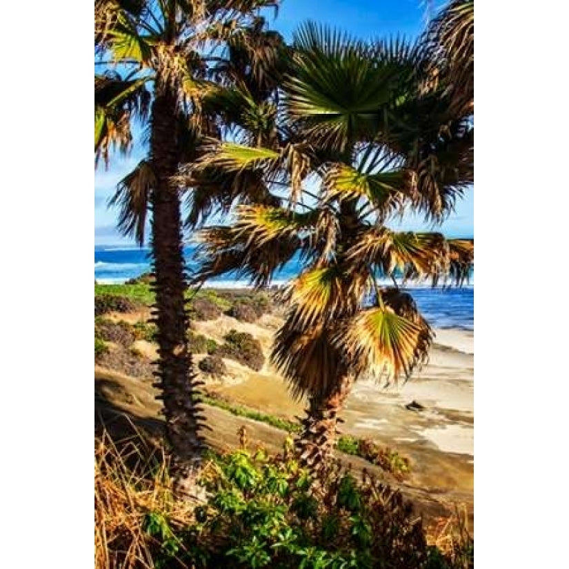 La Jolla Palms I Poster Print by Alan Hausenflock Image 2