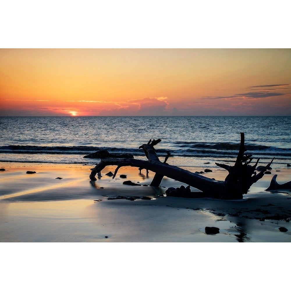 Jekyll Island Sunrise I Poster Print by Alan Hausenflock Image 1