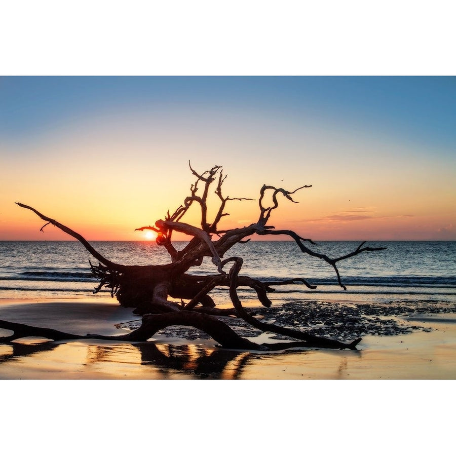 Jekyll Island Sunrise III Poster Print by Alan Hausenflock Image 1