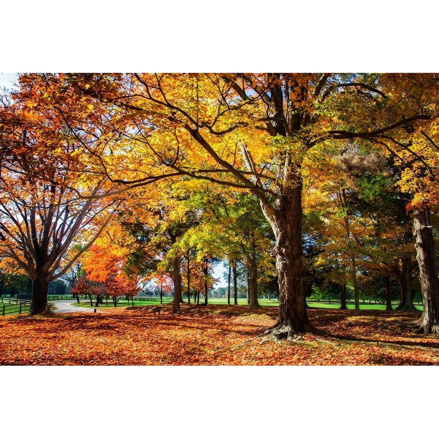 Autumn on the Plantation I Poster Print by Alan Hausenflock Image 1