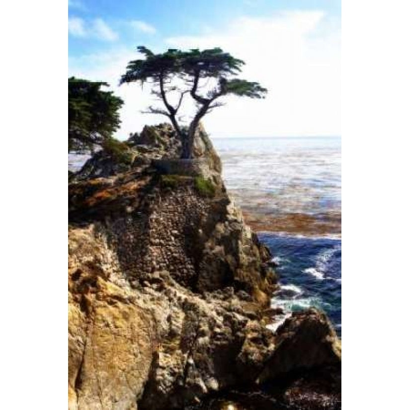 Lone Cypress I Poster Print by Alan Hausenflock Image 2