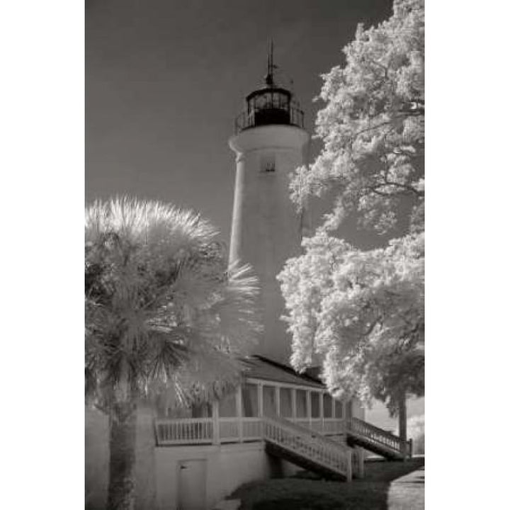 St. Marks Lighthouse Poster Print by George Johnson Image 2