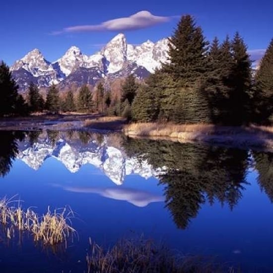 Grand Teton National Park VII Poster Print by Ike Leahy Image 1