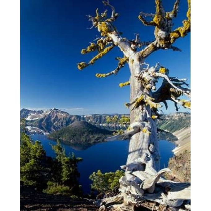 Crater Lake I Poster Print by Ike Leahy Image 1