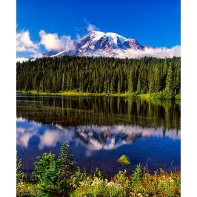 Mt. Rainer II Poster Print by Ike Leahy Image 1