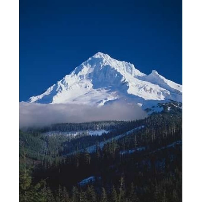 Mt. Hood XIII Poster Print by Ike Leahy Image 1