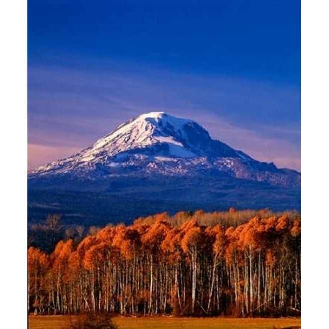 Mt. Adams III Poster Print by Ike Leahy Image 1