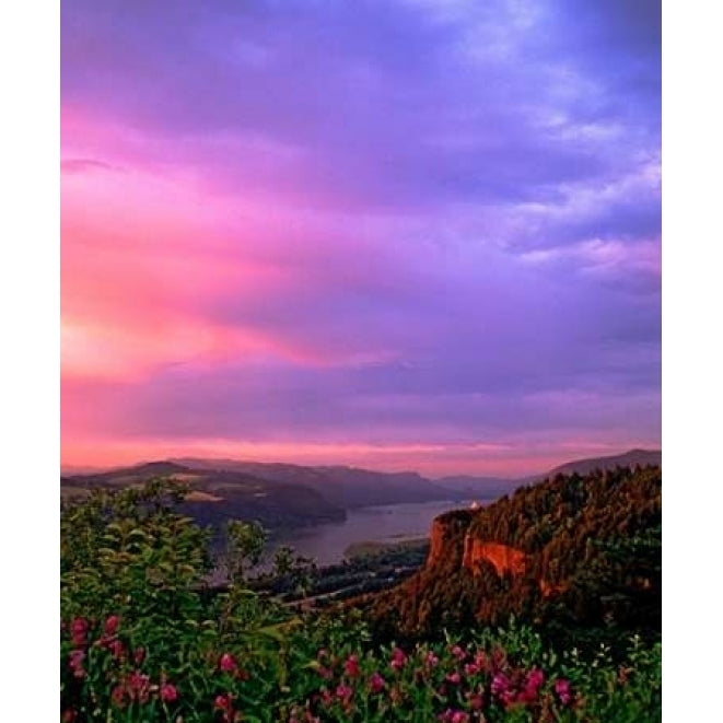 Columbia River Gorge IX Poster Print by Ike Leahy Image 1