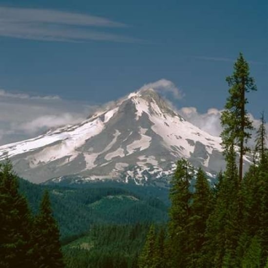 Mt. Hood East Side Poster Print by Ike Leahy Image 1