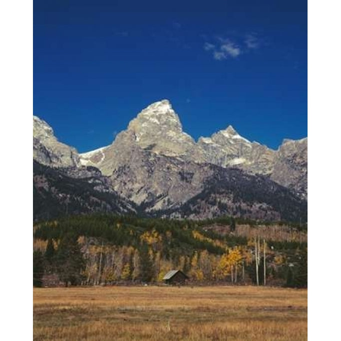 Cabin and Grand Teton Poster Print by Ike Leahy Image 1