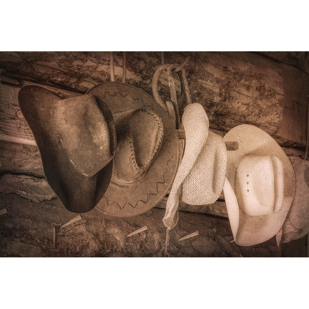 Cowboy Hats Poster Print by Kathy Mahan Image 1