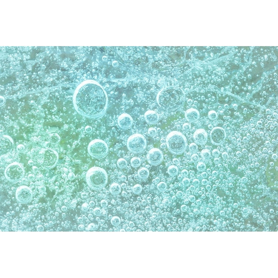 Frozen Bubbles I Poster Print by Kathy Mahan Image 1