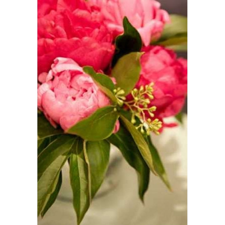 Peonies I Poster Print by Karyn Millet Image 2