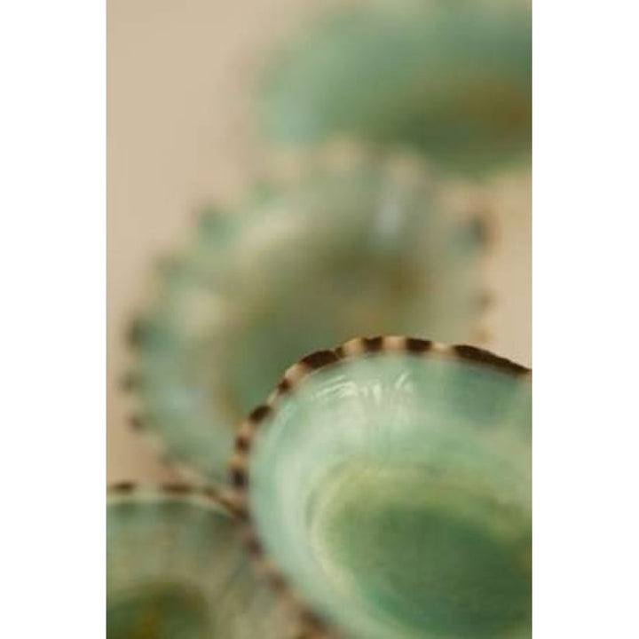 Sea Shells IV Poster Print by Karyn Millet Image 2