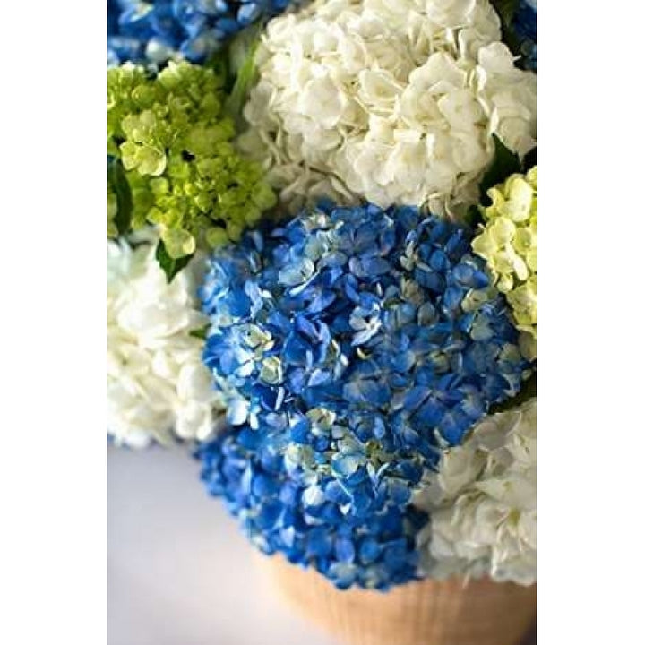 Hydrangea Bouquet Poster Print by Karyn Millet Image 1