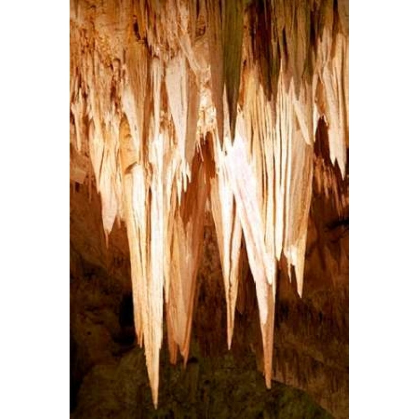 Carlsbad Cavern II Poster Print by Douglas Taylor Image 2