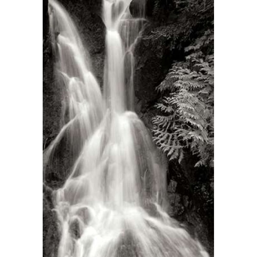 Falling Water I BW Poster Print by Douglas Taylor Image 1