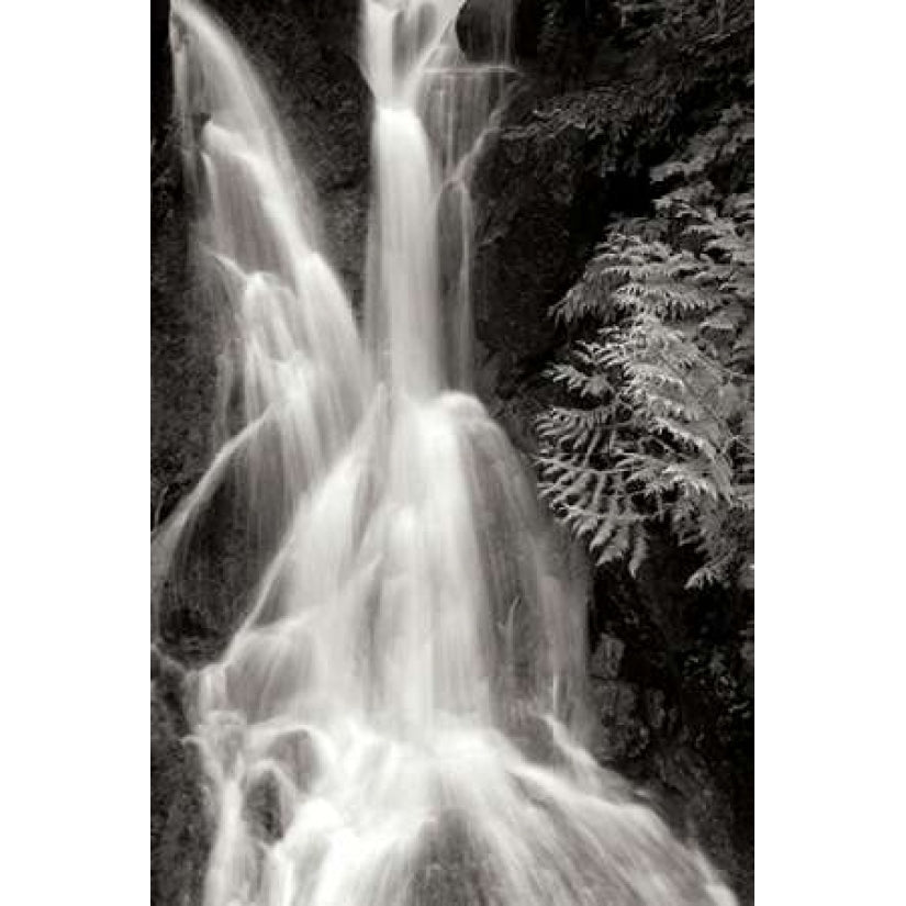 Falling Water I BW Poster Print by Douglas Taylor Image 2