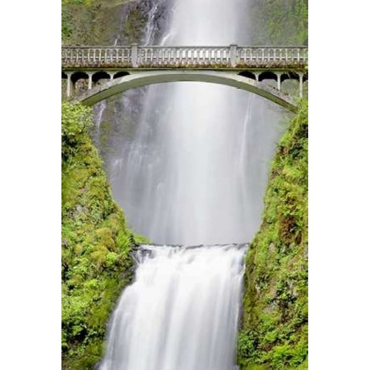 Water Under the Bridge Poster Print by Douglas Taylor Image 1