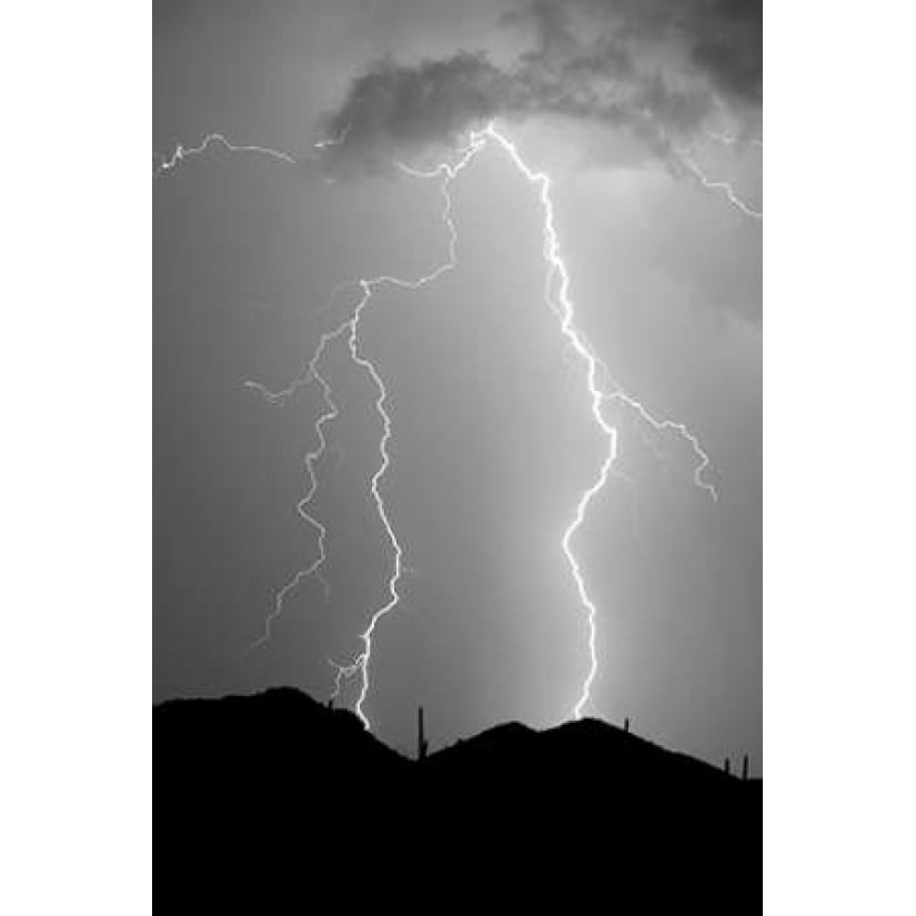 Summer Lightning BW Poster Print by Douglas Taylor Image 1