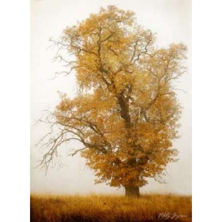 Autumn Mist I Poster Print by Vitaly Geyman Image 2