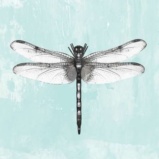 Dragonfly I Poster Print by PI Galerie - Item PDXPU029ALARGE Image 1