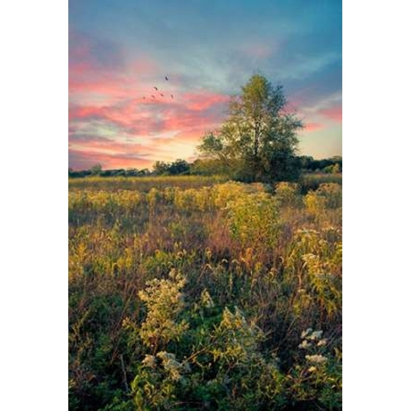 Grateful for The Day Poster Print by John Rivera Image 1